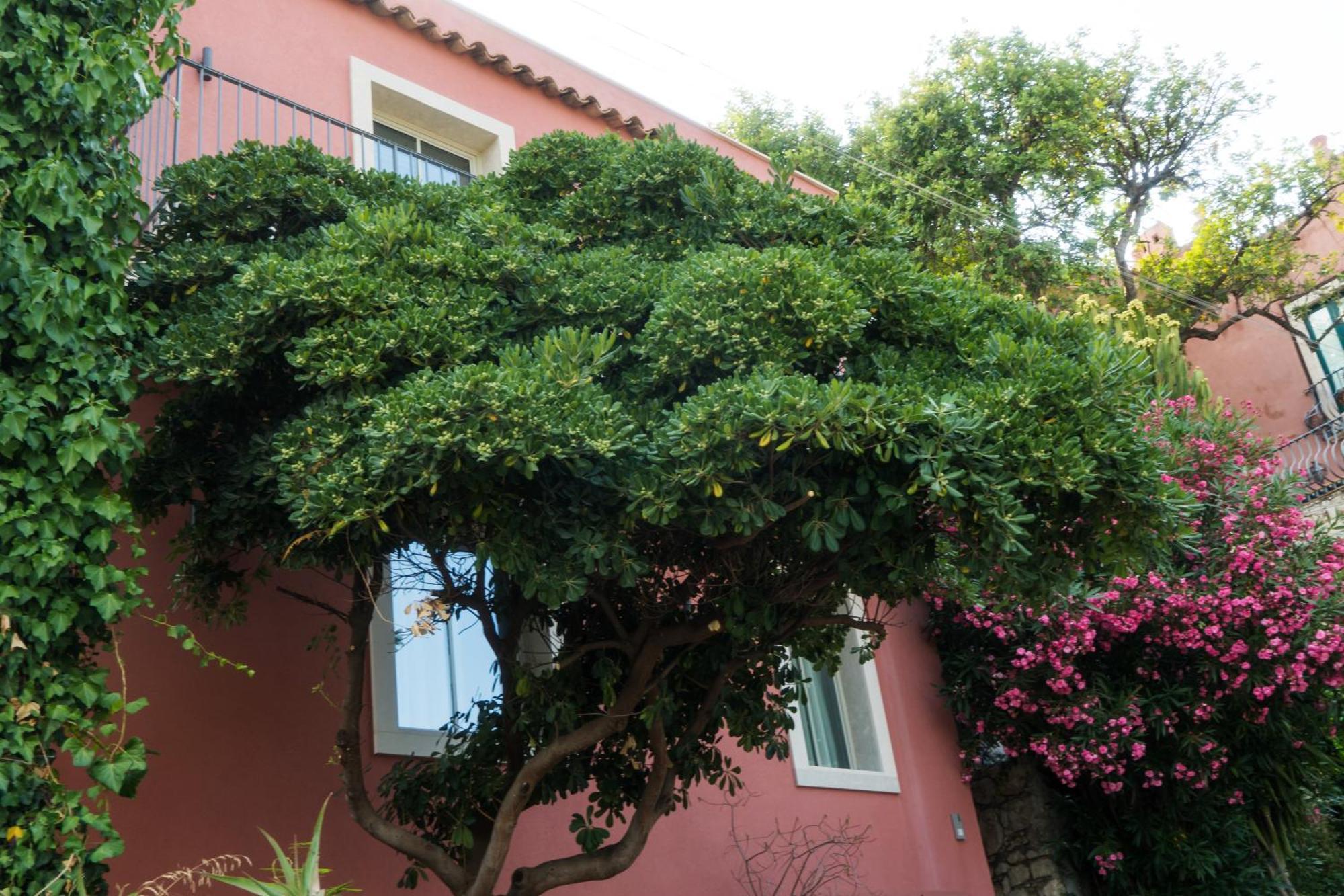 The Charming House Apartment Taormina Exterior photo